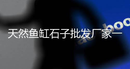 宜兴埠镇石子零售店地址、河北区石子批发零售、南阳石子零售店地址、石子批发厂家零售电话地址